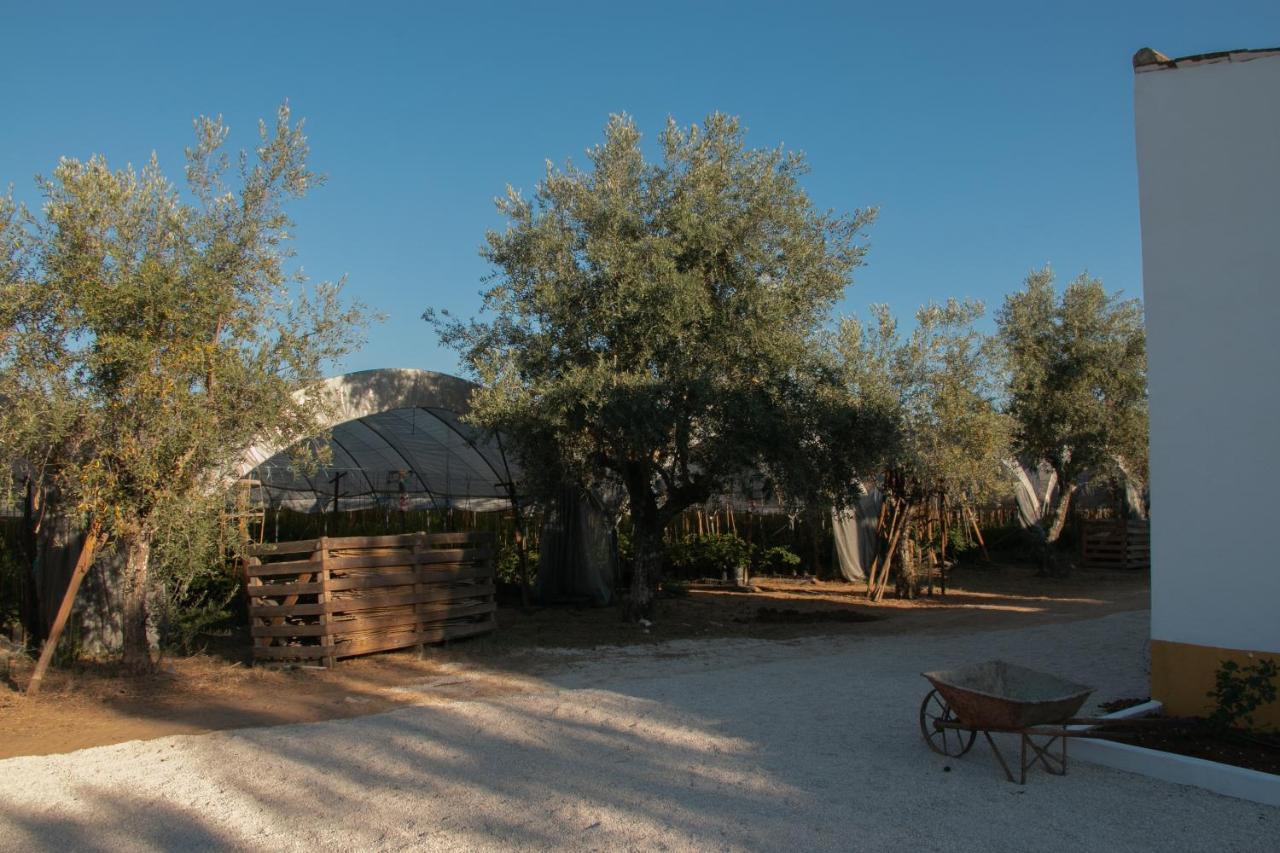 Quinta De Santana Da Varzea อาบรันเตซ ภายนอก รูปภาพ