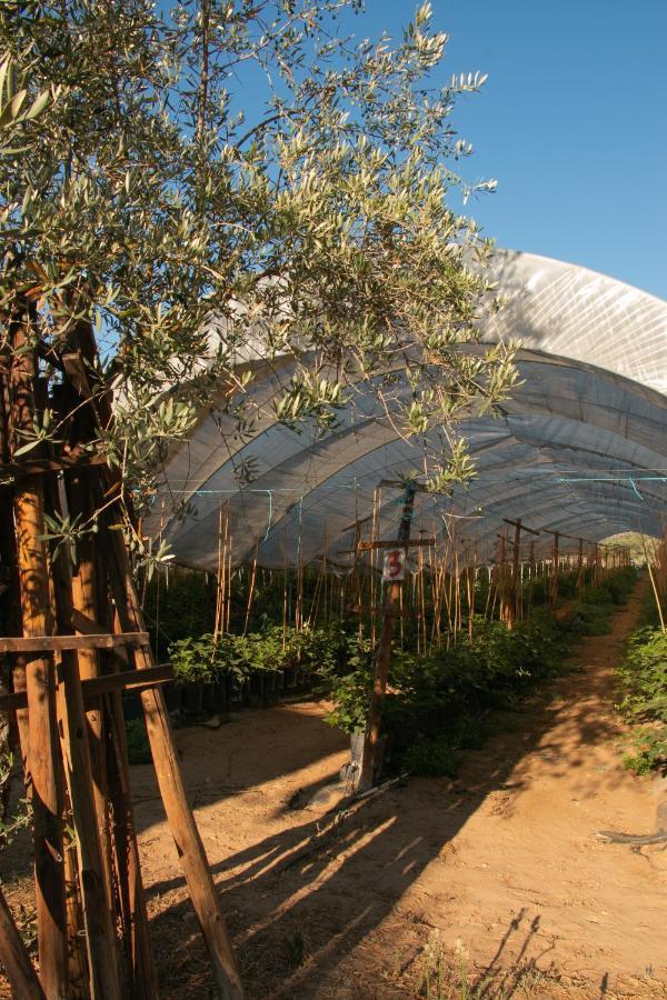 Quinta De Santana Da Varzea อาบรันเตซ ภายนอก รูปภาพ